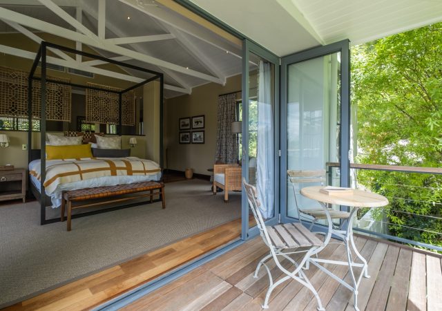 20221125CJPSA-TVSDSCF0320