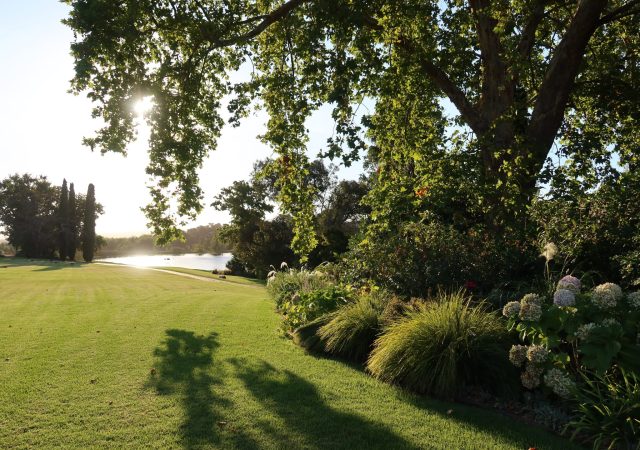 4. Garden Page - After The Vineyards