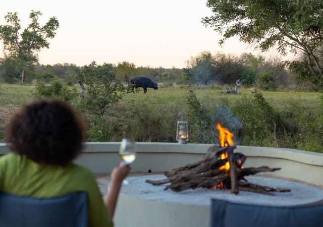 Amani Waterhole View (15)