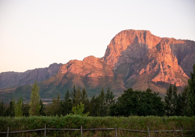 Boschendal1682CGunn_Mar172022_2786copy