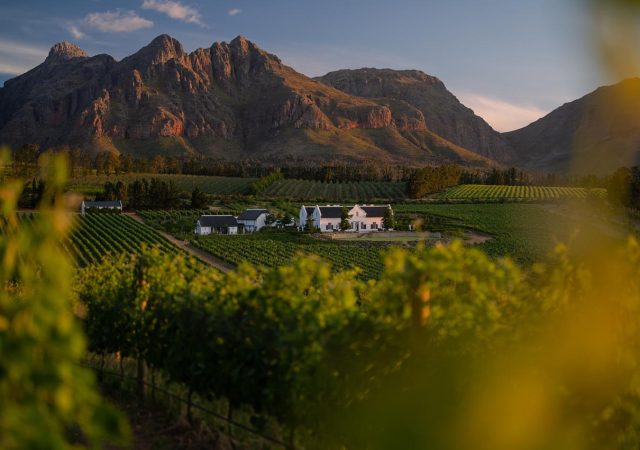 Brookdale Estate - A view of the Manor House form vineyards
