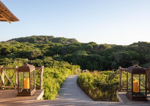 Colina_Verde_Etched_Space-2792