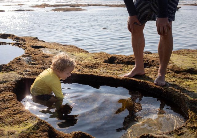 Colina_Verde_Etched_Space-4887