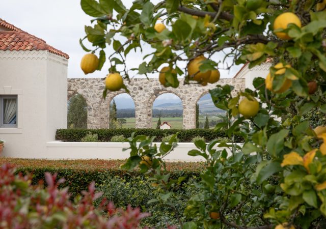 Copy of 1220230918CJPSACJ4C4743