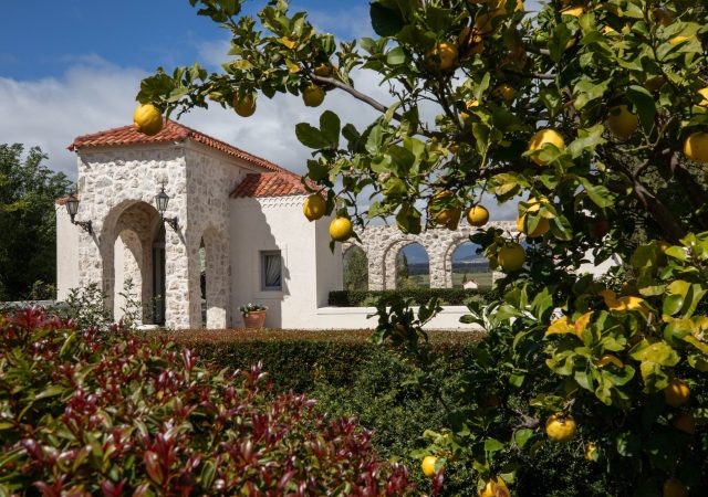 Copy of 5620230918CJPSACJ4C4863