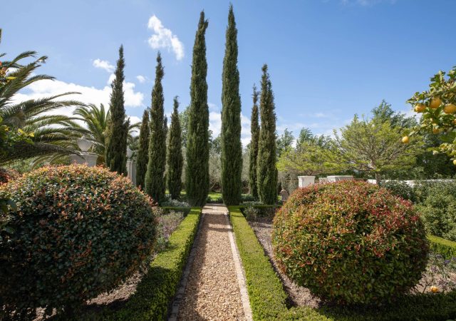 Copy of 5920230918CJPSACJ4C4871