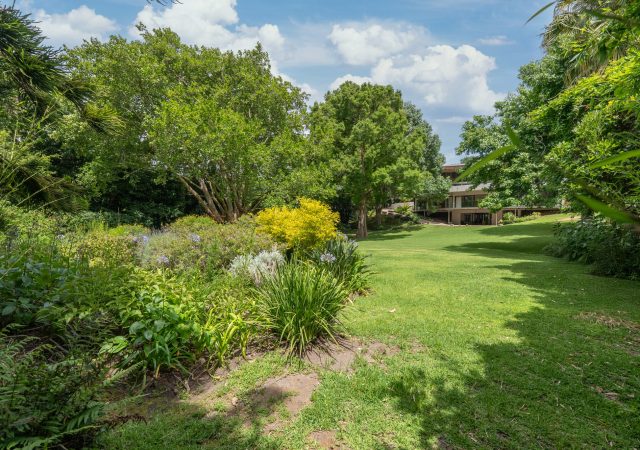 Copy of DSC01424-1 copy