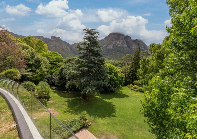 Copy of DSC01509-1 copy