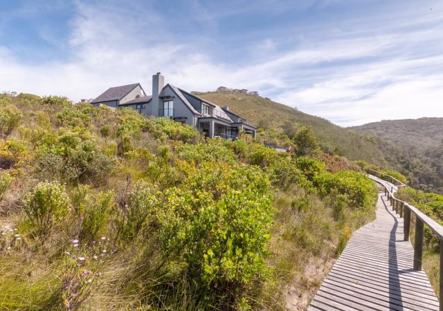 Forest Edge - Pezula (131)