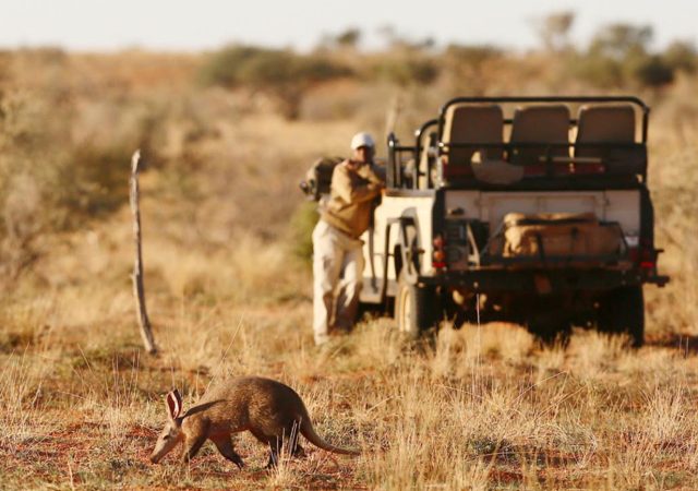 Safari---Private-vehicle