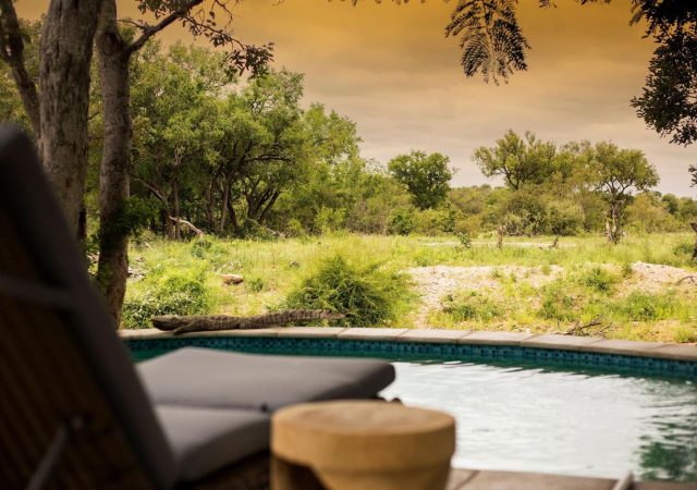 Simbavati-Amani-gallery-pool-NM