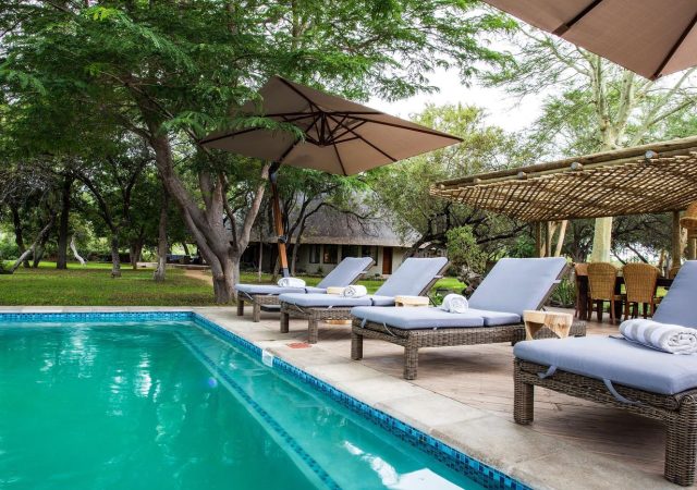 Simbavati-Amani-gallery-pool-area-NM