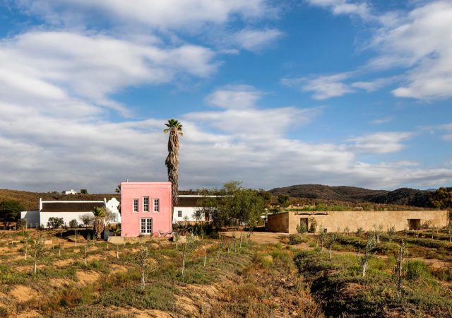 ZA_Buffelsdrift_Con_004_003_al_HR