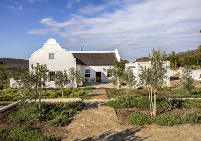 ZA_Buffelsdrift_Ext1_011_001_al_HR