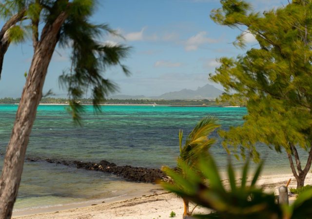 musevillas_koki_bonheur_12