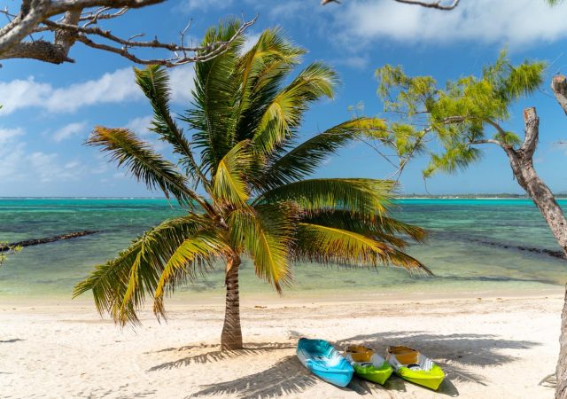 musevillas_koki_bonheur_13