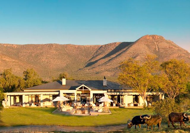 panorama-the-manor-mountains-buffalo-samara-karoo-south-africa